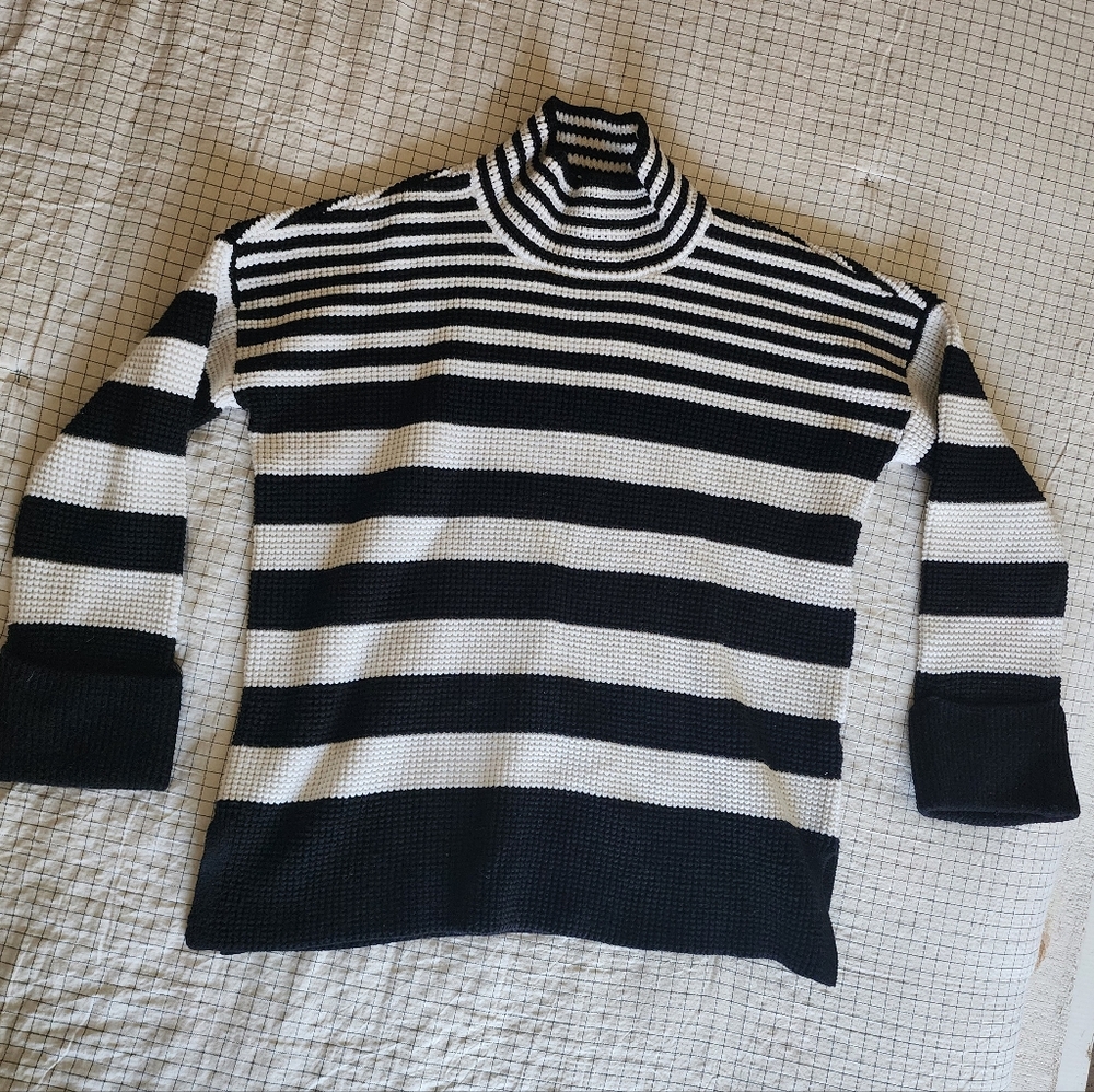 Devotion by Cyrus Black and White Striped Turtleneck Sweater